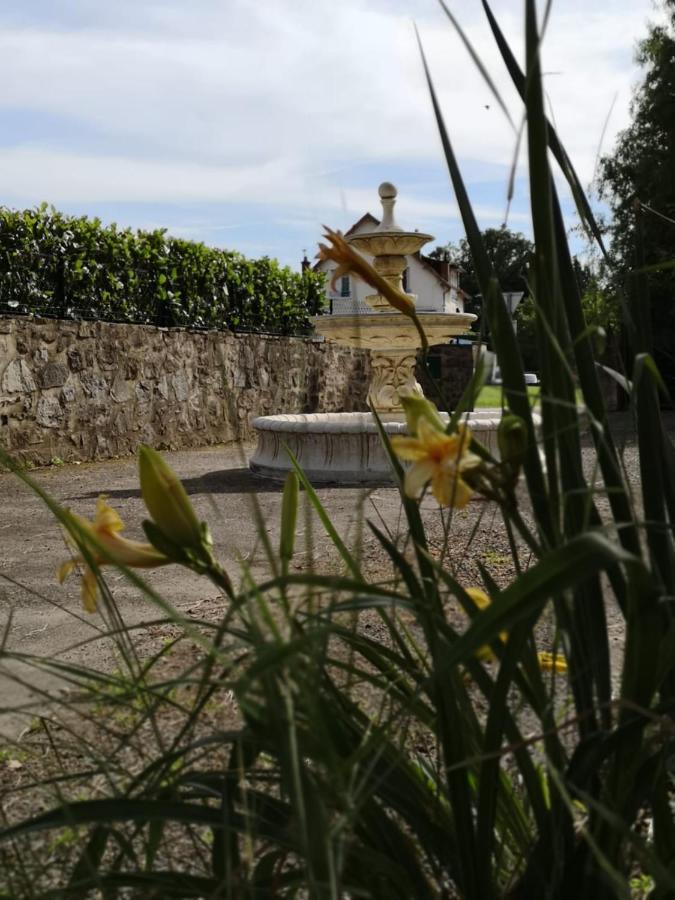 Bed and Breakfast La Morgiane Saint-Germain-les-Vergnes Екстер'єр фото